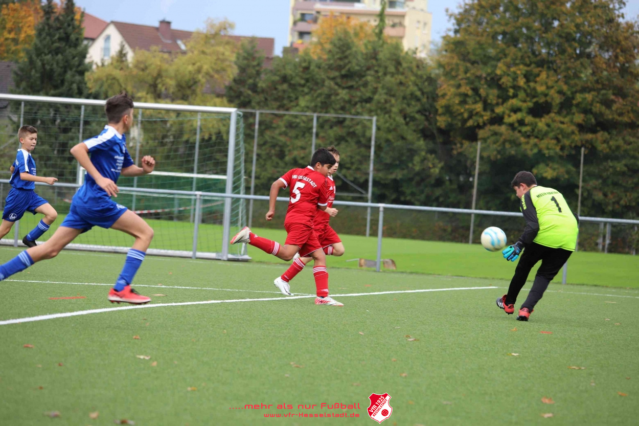 D junioren_15